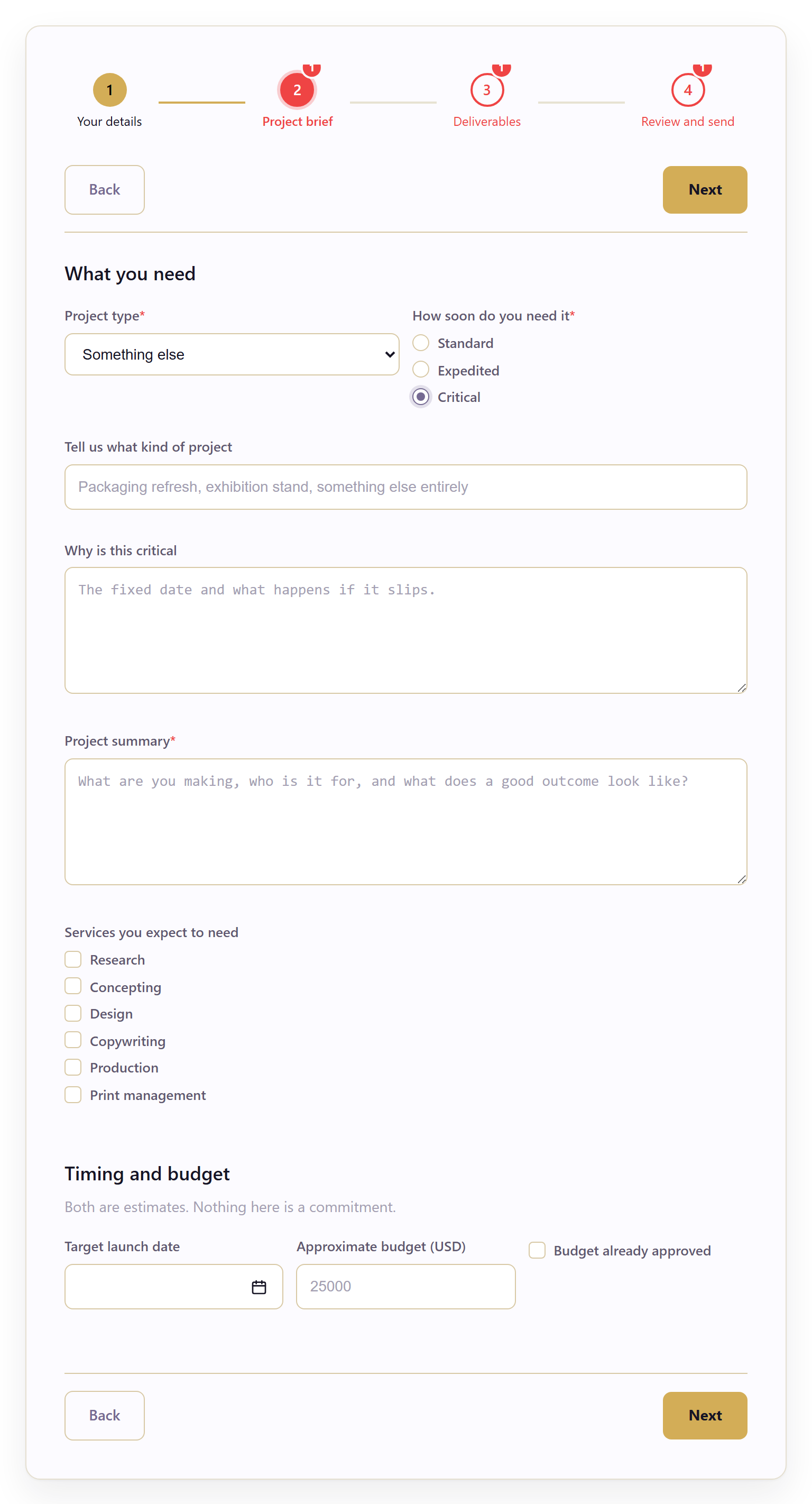 Project brief page with two conditional follow-up fields revealed after the respondent chose Something else and Critical