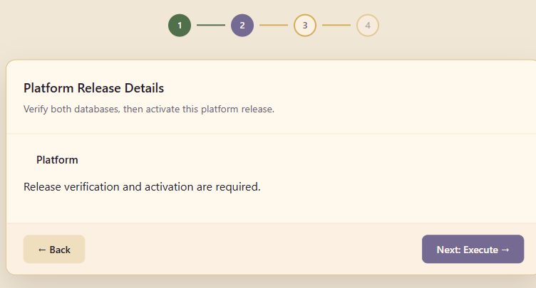 Platform Release Details explaining that release verification and activation are required, with a Next: Execute button.